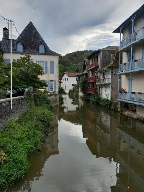 Maison Ichabelenia Salies-de-Béarn Εξωτερικό φωτογραφία